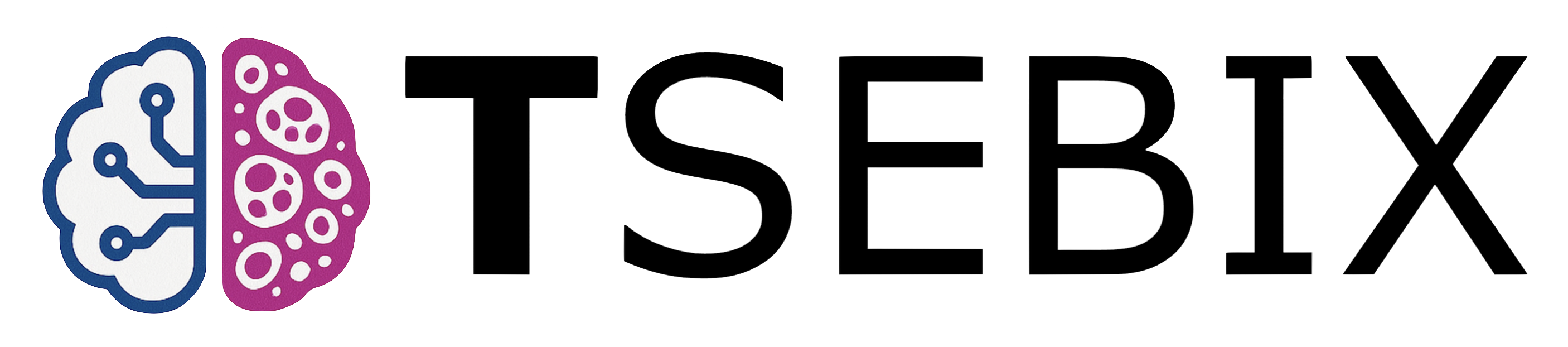 Tsebix logo