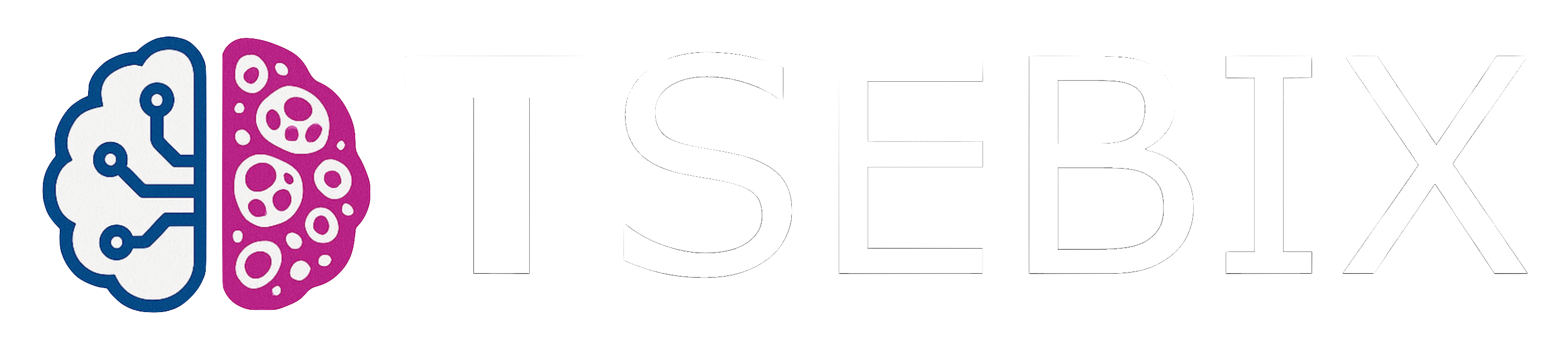Tsebix logo